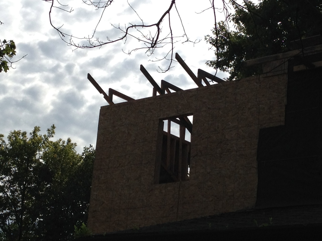 View of trusses from the ground (upside down between the walls of the addition).